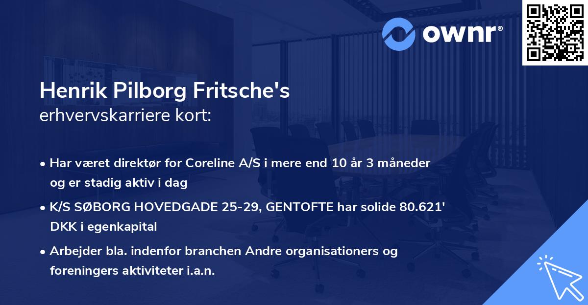 Henrik Pilborg Fritsche's erhvervskarriere kort