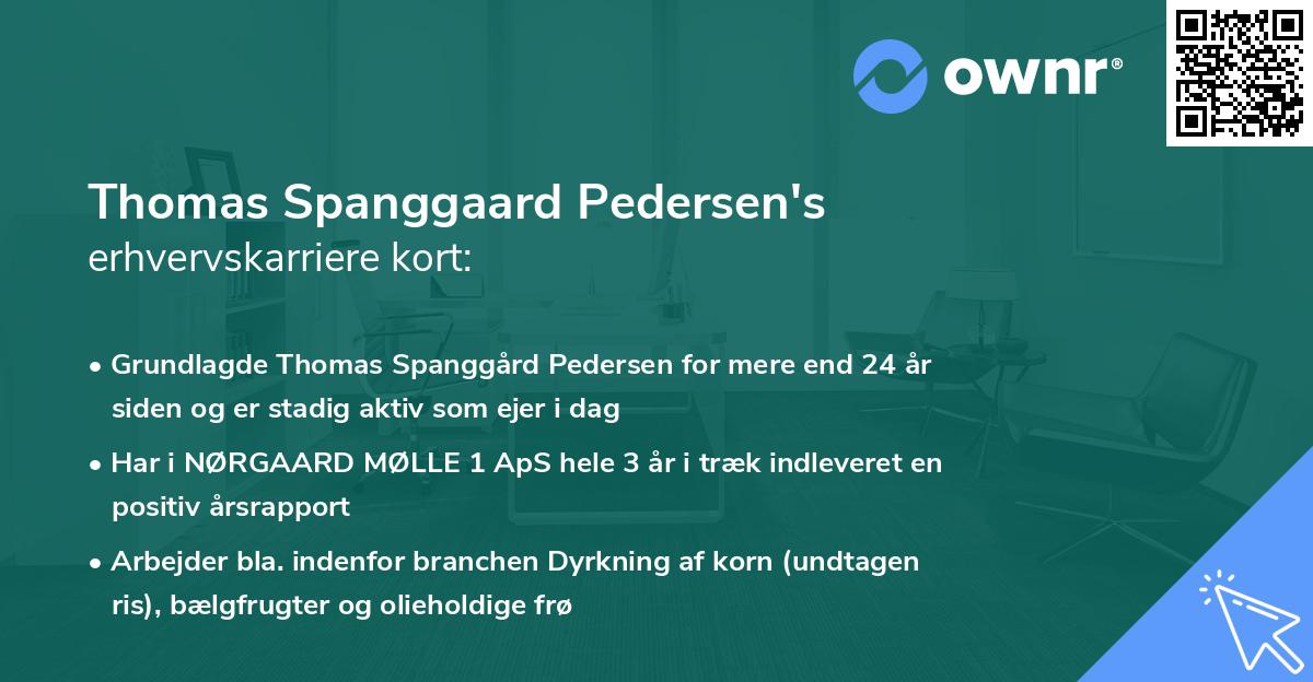 Thomas Spanggaard Pedersen's erhvervskarriere kort