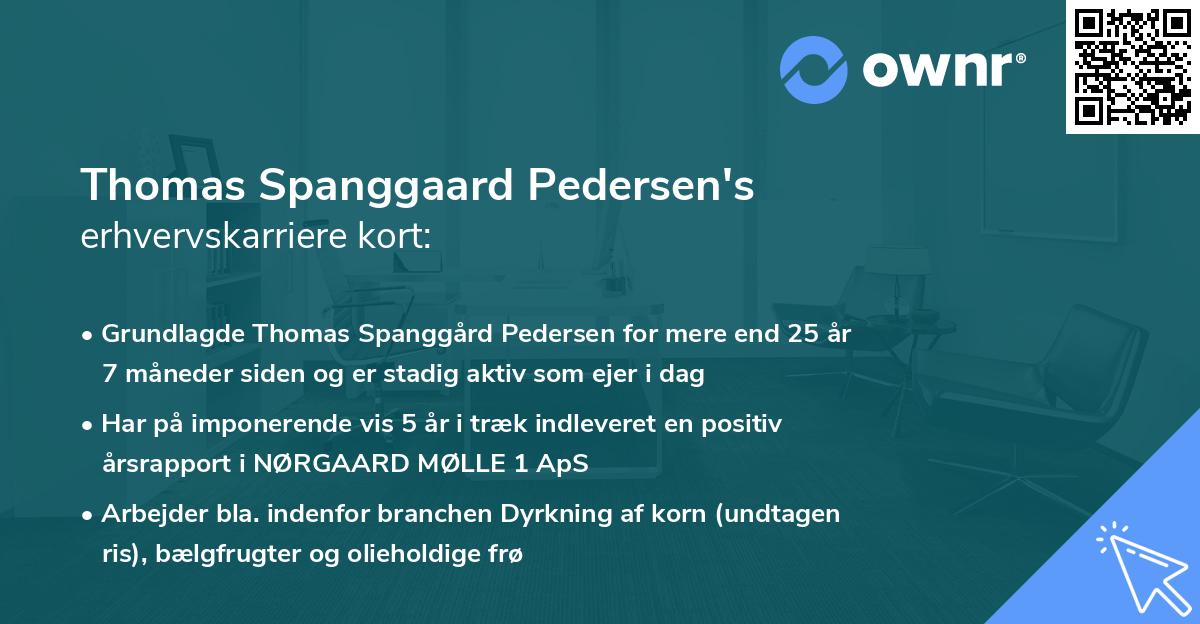 Thomas Spanggaard Pedersen's erhvervskarriere kort
