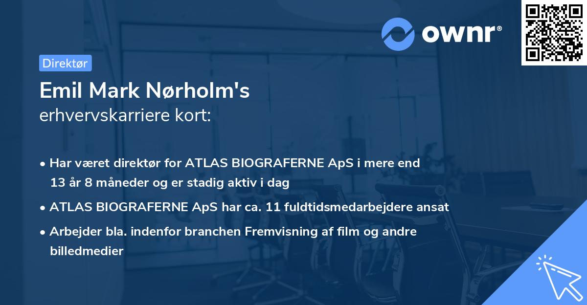 Emil Mark Nørholm's erhvervskarriere kort