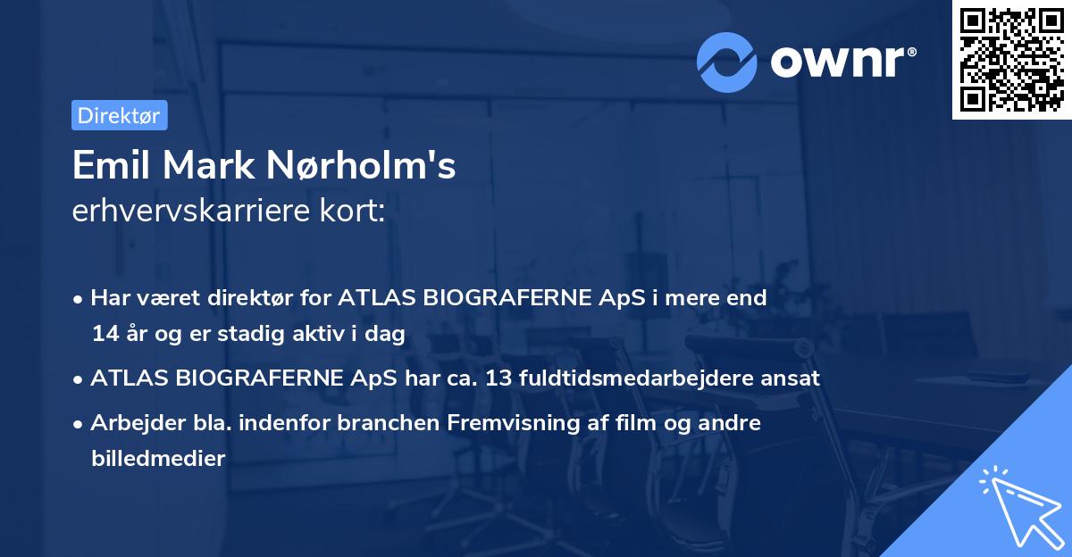Emil Mark Nørholm's erhvervskarriere kort