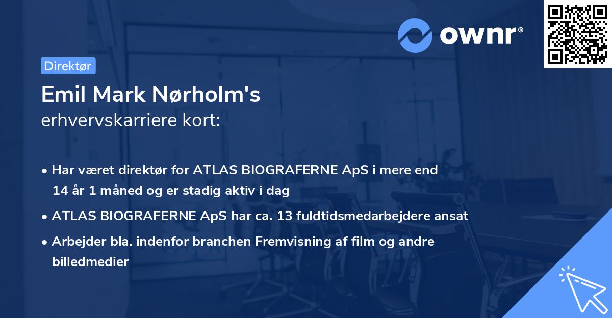Emil Mark Nørholm's erhvervskarriere kort