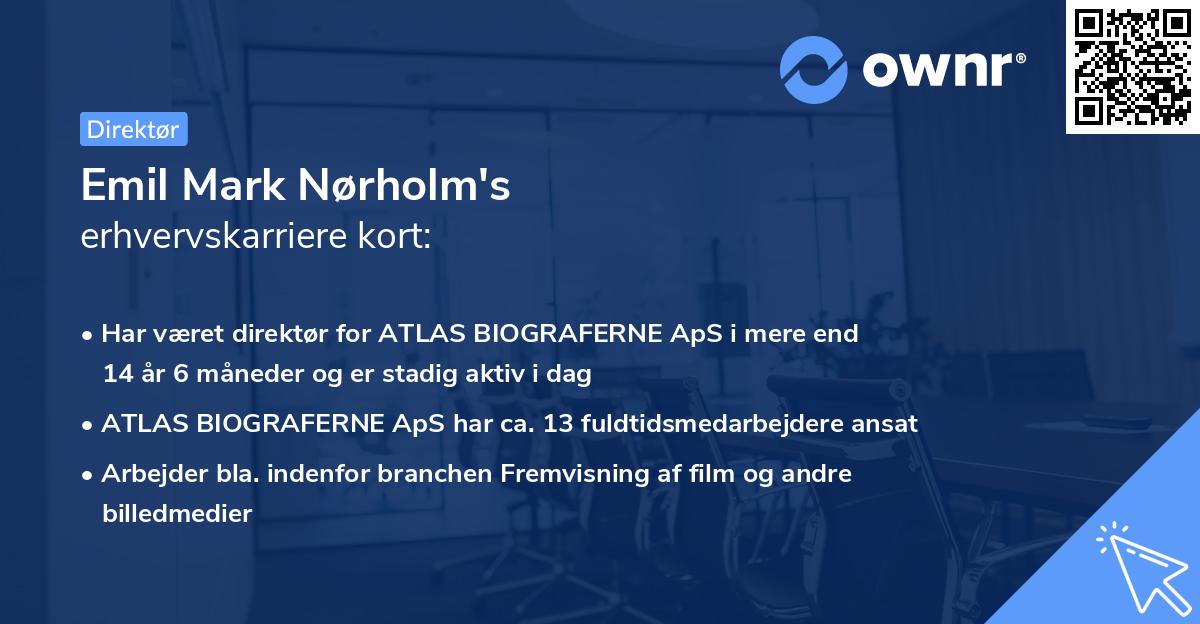 Emil Mark Nørholm's erhvervskarriere kort