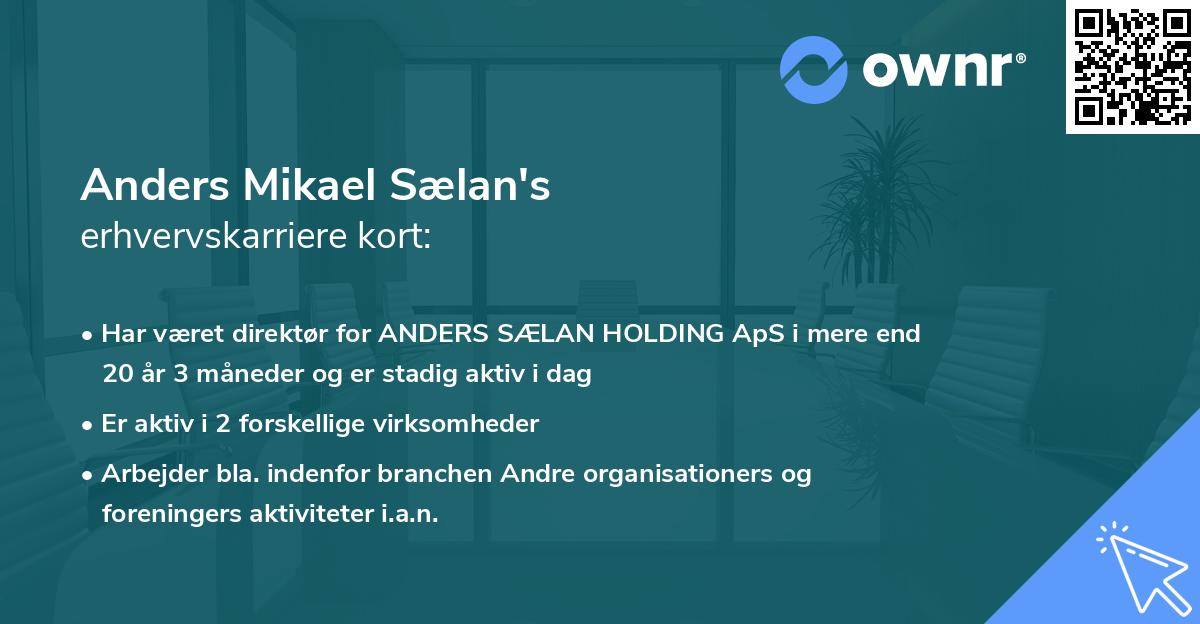 Anders Mikael Sælan's erhvervskarriere kort