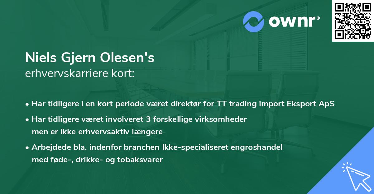 Niels Gjern Olesen's erhvervskarriere kort