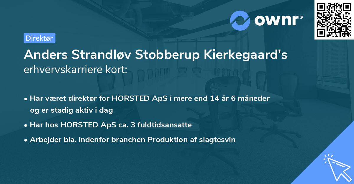 Anders Strandløv Stobberup Kierkegaard's erhvervskarriere kort