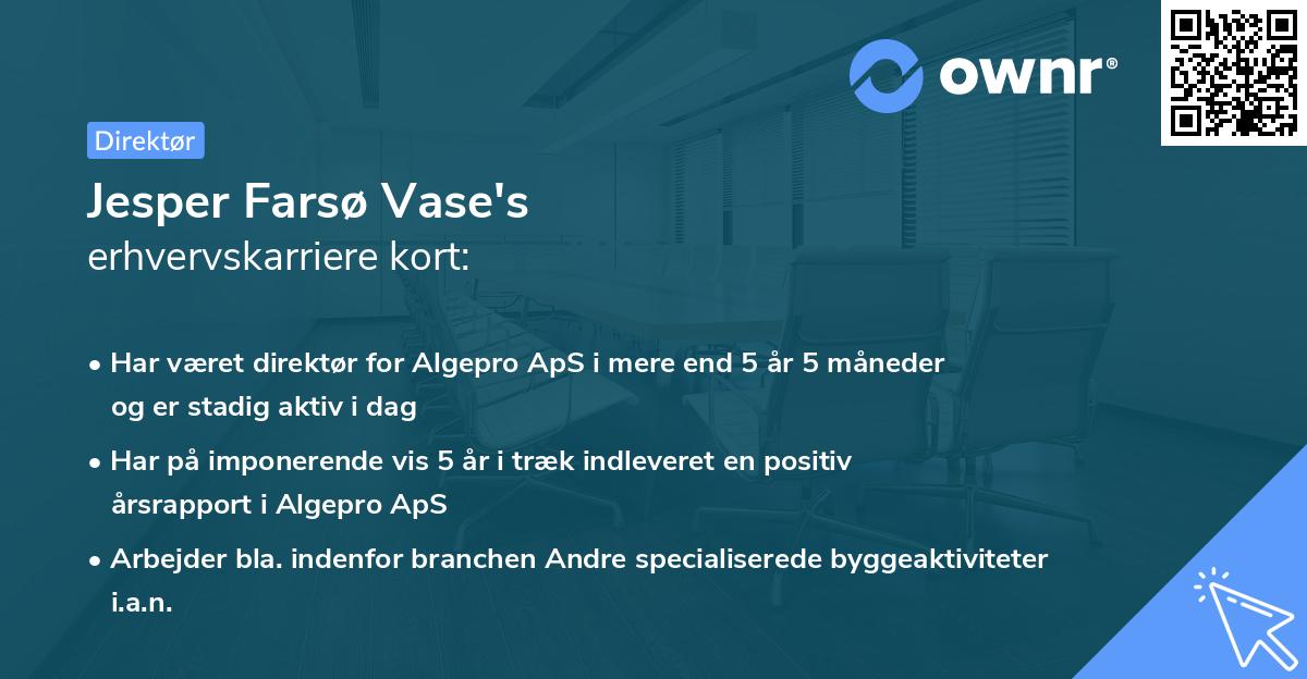 Jesper Farsø Vase's erhvervskarriere kort
