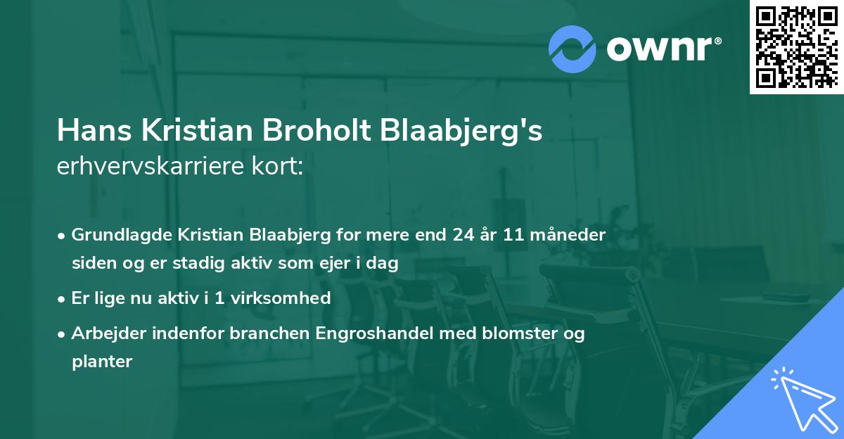 Hans Kristian Broholt Blaabjerg's erhvervskarriere kort
