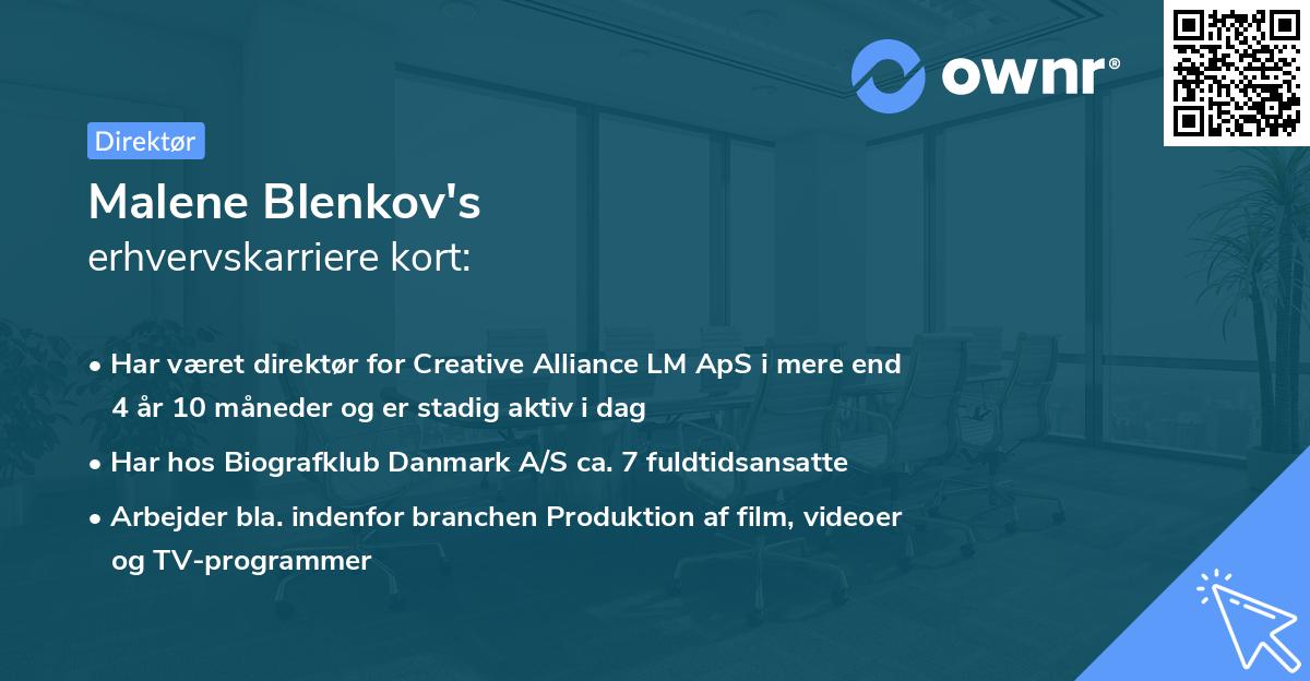 Malene Blenkov's erhvervskarriere kort