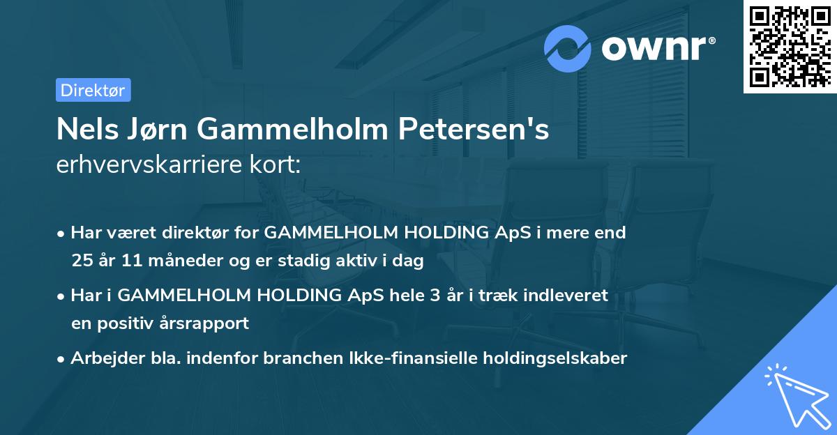 Nels Jørn Gammelholm Petersen's erhvervskarriere kort