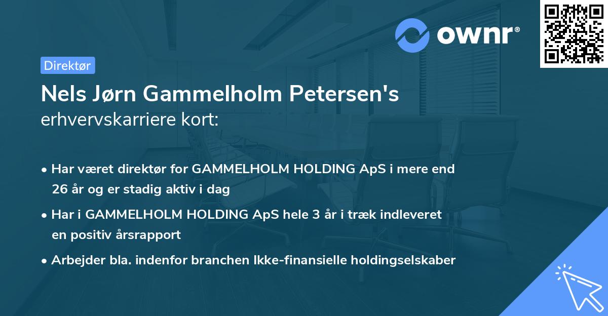 Nels Jørn Gammelholm Petersen's erhvervskarriere kort