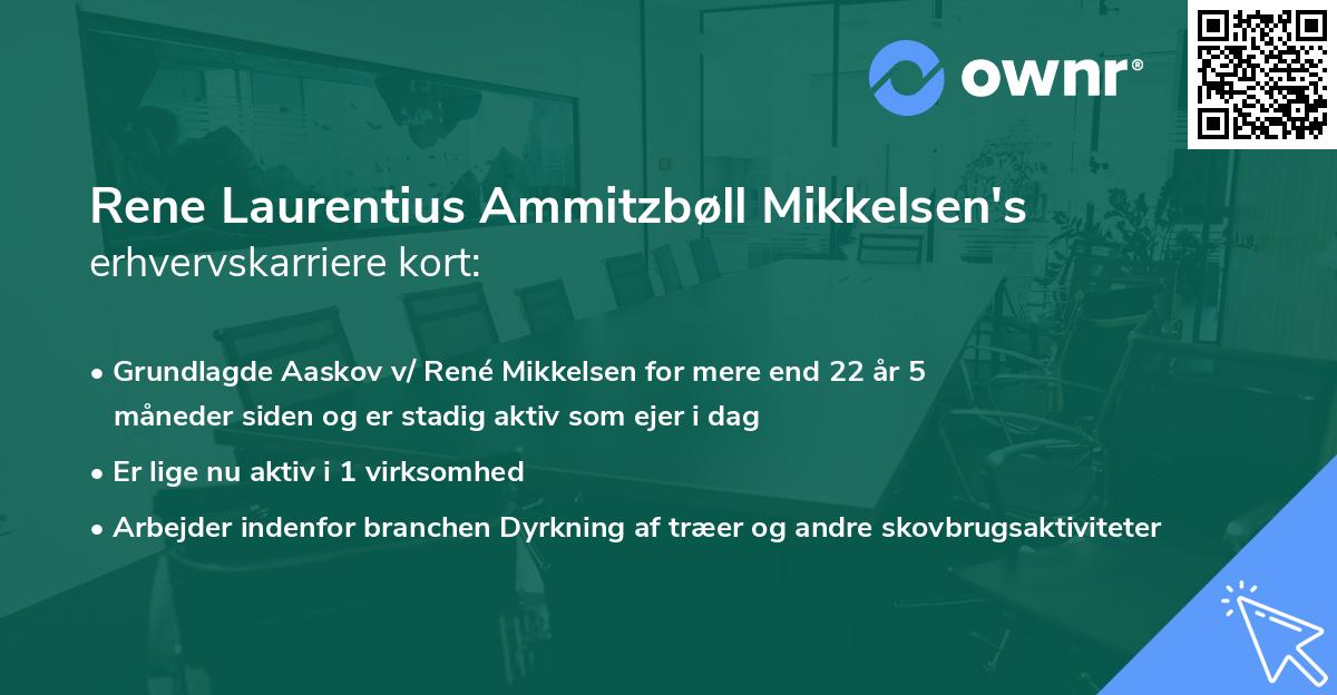 Rene Laurentius Ammitzbøll Mikkelsen's erhvervskarriere kort