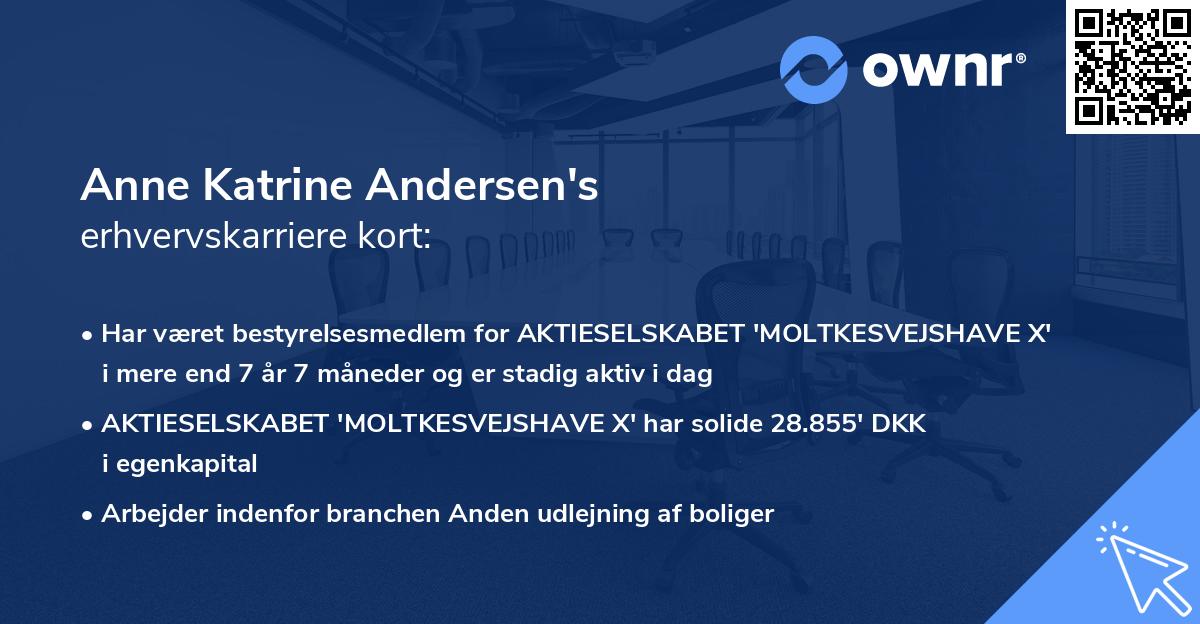 Anne Katrine Andersen's erhvervskarriere kort