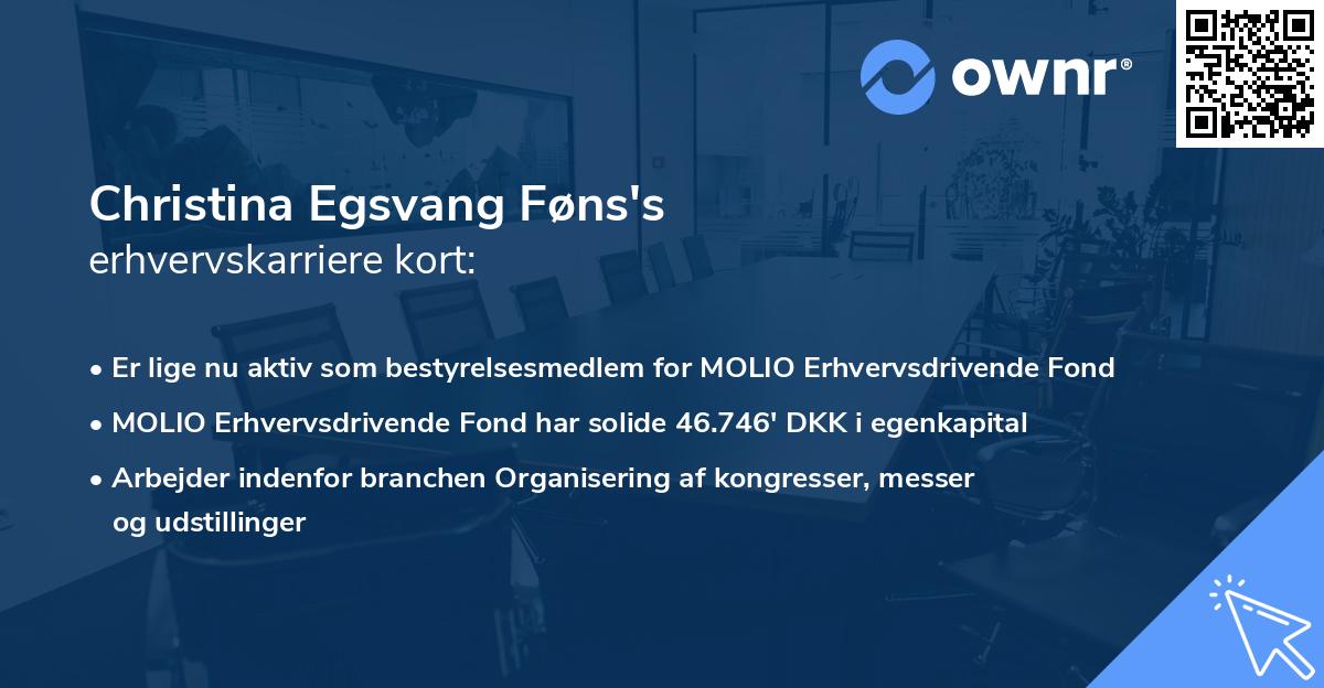 Christina Egsvang Føns's erhvervskarriere kort