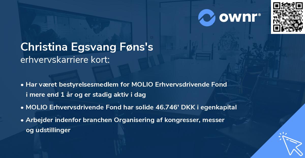 Christina Egsvang Føns's erhvervskarriere kort