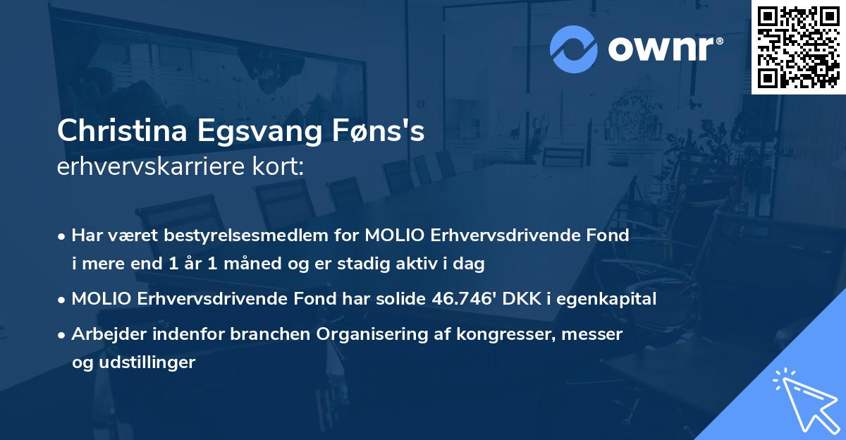 Christina Egsvang Føns's erhvervskarriere kort