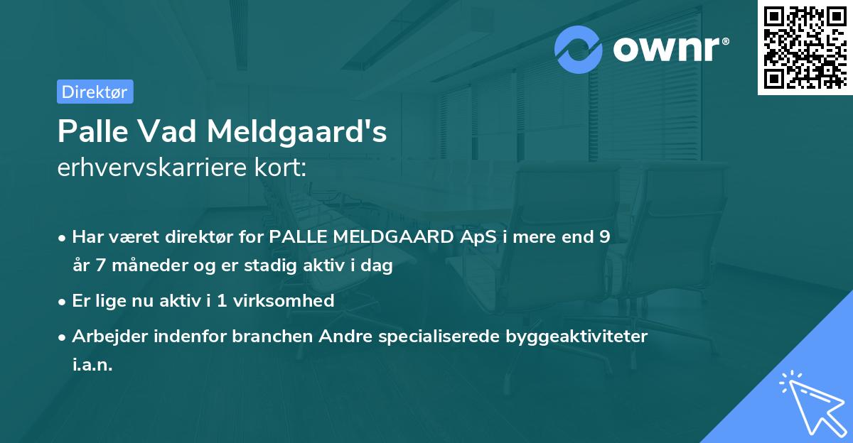 Palle Vad Meldgaard's erhvervskarriere kort