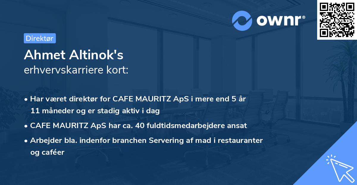 Ahmet Altinok's erhvervskarriere kort