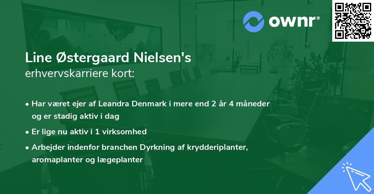 Line Østergaard Nielsen's erhvervskarriere kort