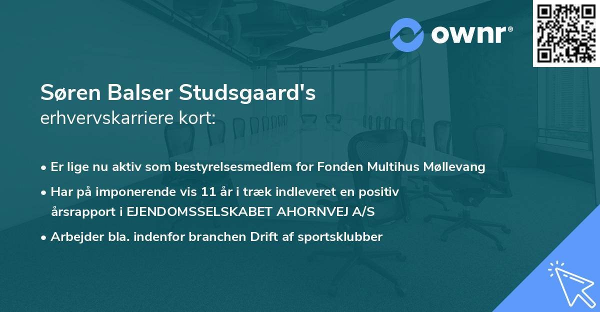 Søren Balser Studsgaard's erhvervskarriere kort
