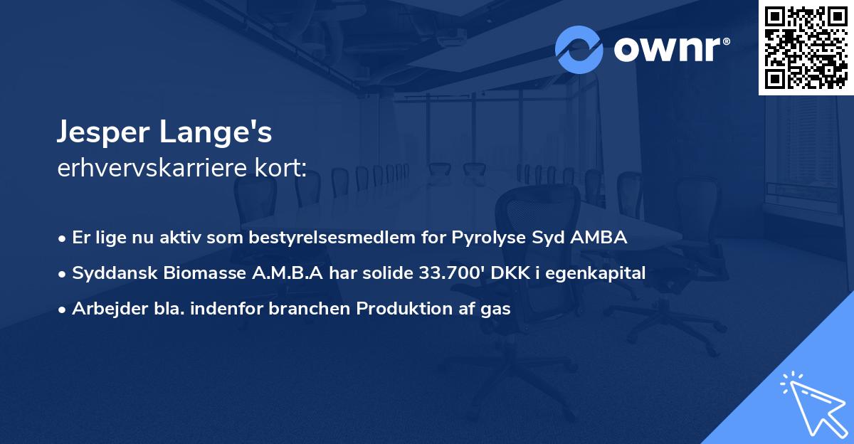 Jesper Lange's erhvervskarriere kort