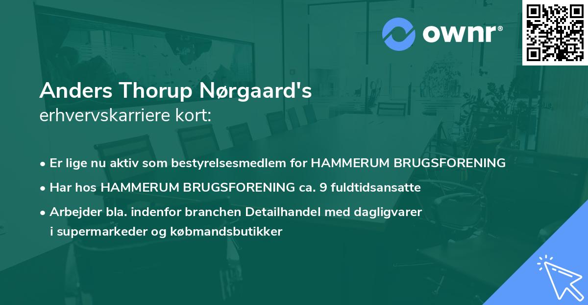 Anders Thorup Nørgaard's erhvervskarriere kort