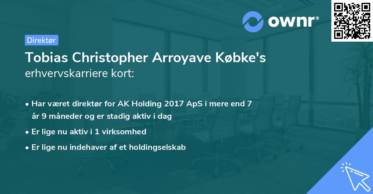 Tobias Christopher Arroyave Købke's erhvervskarriere kort