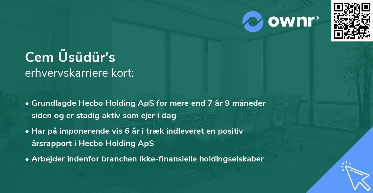 Cem Üsüdür's erhvervskarriere kort