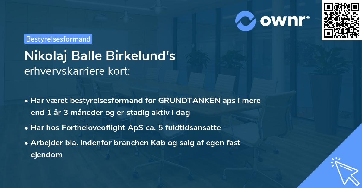 Nikolaj Balle Birkelund's erhvervskarriere kort