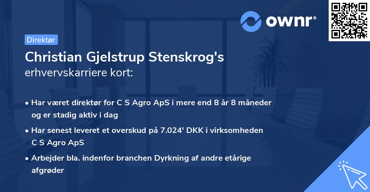 Christian Gjelstrup Stenskrog's erhvervskarriere kort