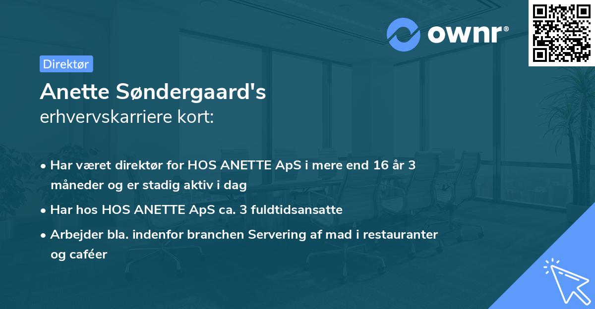 Anette Søndergaard's erhvervskarriere kort