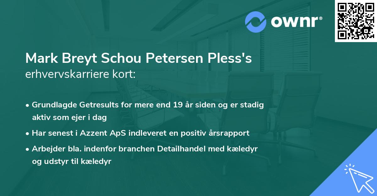 Mark Breyt Schou Petersen Pless's erhvervskarriere kort