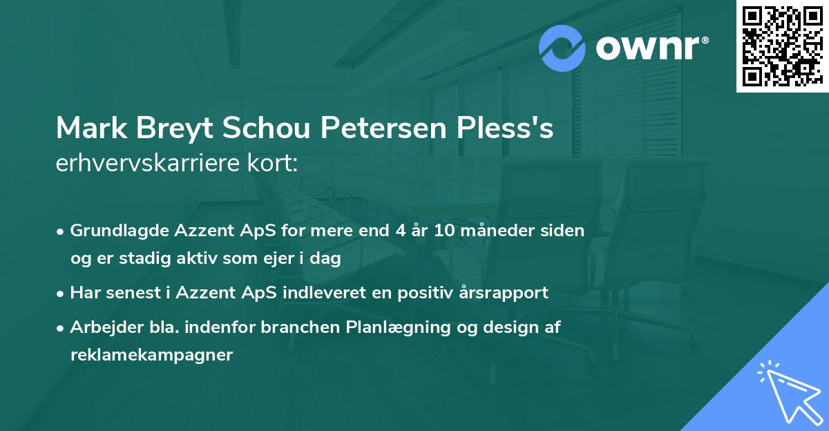 Mark Breyt Schou Petersen Pless's erhvervskarriere kort