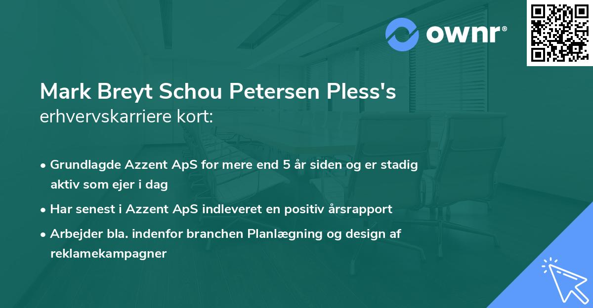 Mark Breyt Schou Petersen Pless's erhvervskarriere kort