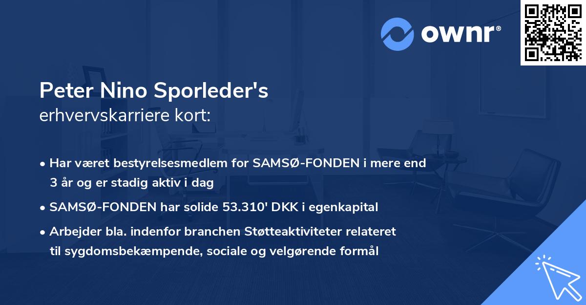 Peter Nino Sporleder's erhvervskarriere kort