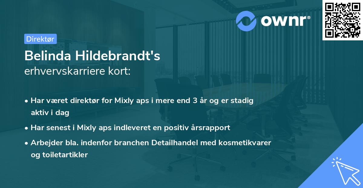 Belinda Hildebrandt's erhvervskarriere kort