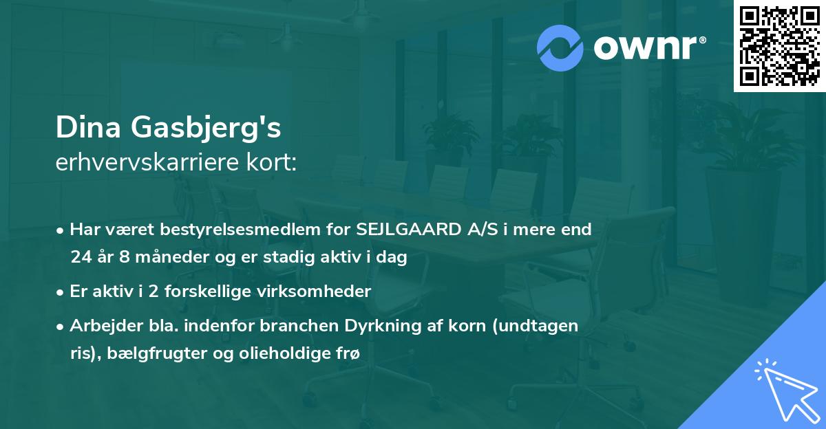 Dina Gasbjerg's erhvervskarriere kort