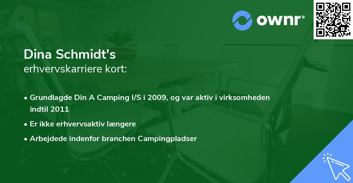 Dina Schmidt's erhvervskarriere kort