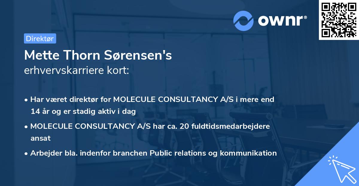 Mette Thorn Sørensen's erhvervskarriere kort