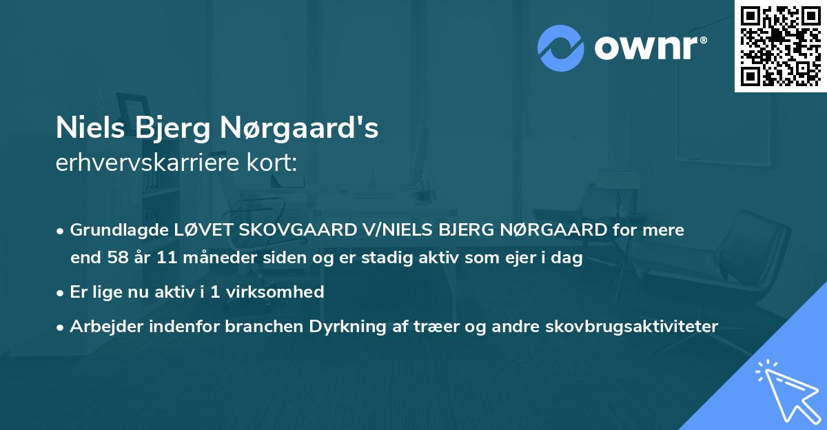 Niels Bjerg Nørgaard's erhvervskarriere kort