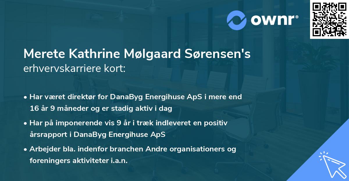 Merete Kathrine Mølgaard Sørensen's erhvervskarriere kort