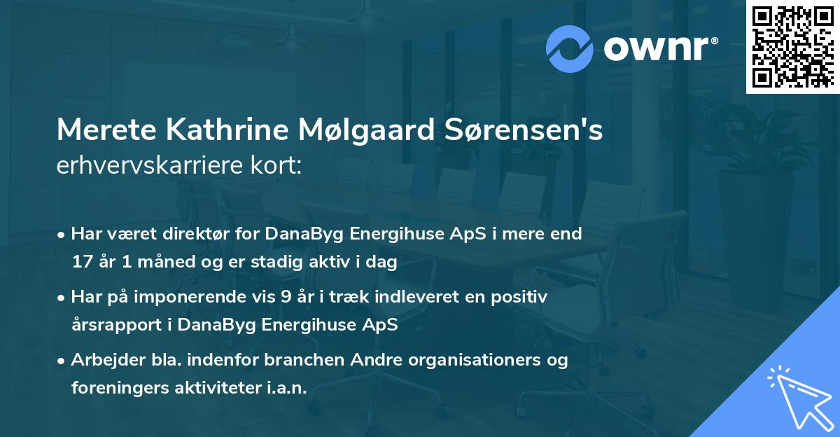 Merete Kathrine Mølgaard Sørensen's erhvervskarriere kort