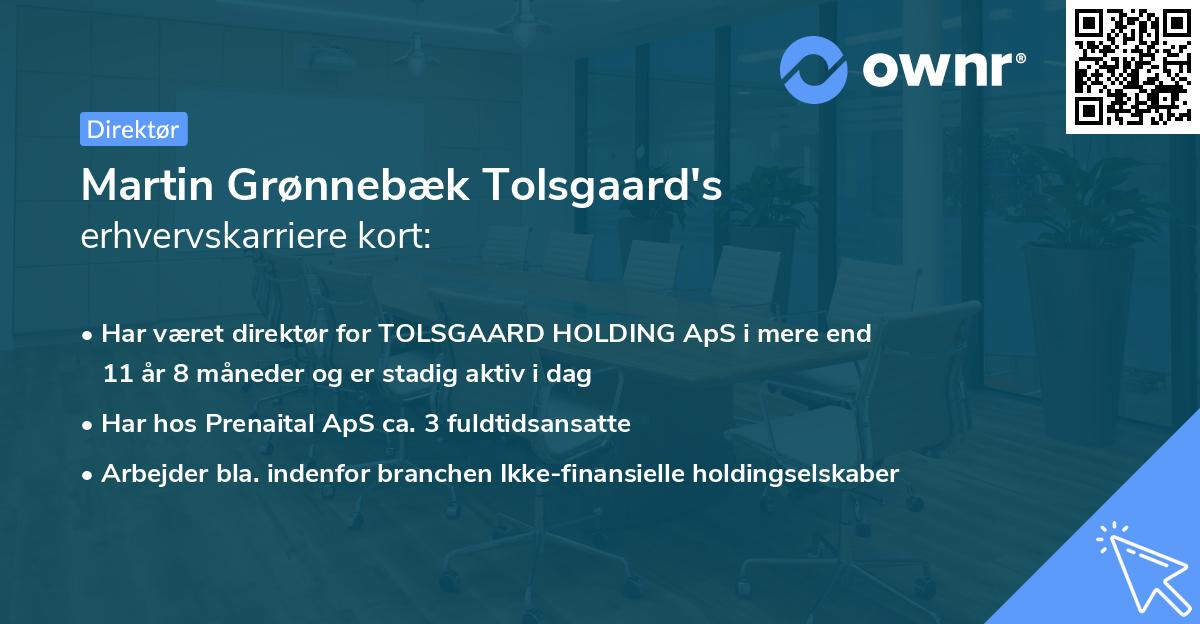 Martin Grønnebæk Tolsgaard's erhvervskarriere kort