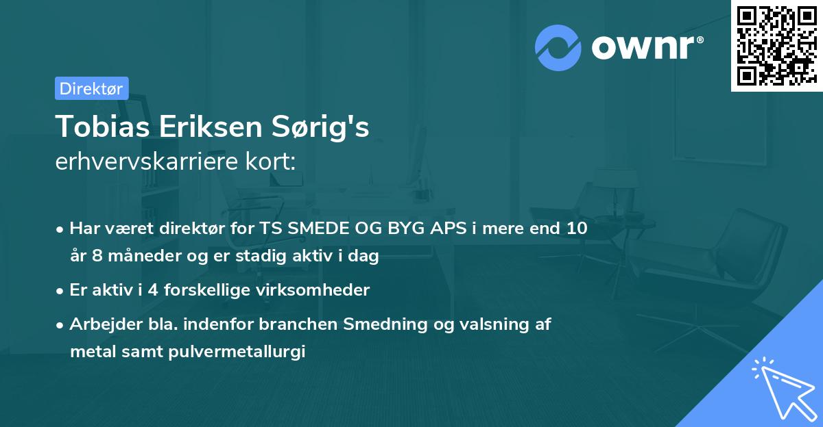 Tobias Eriksen Sørig's erhvervskarriere kort