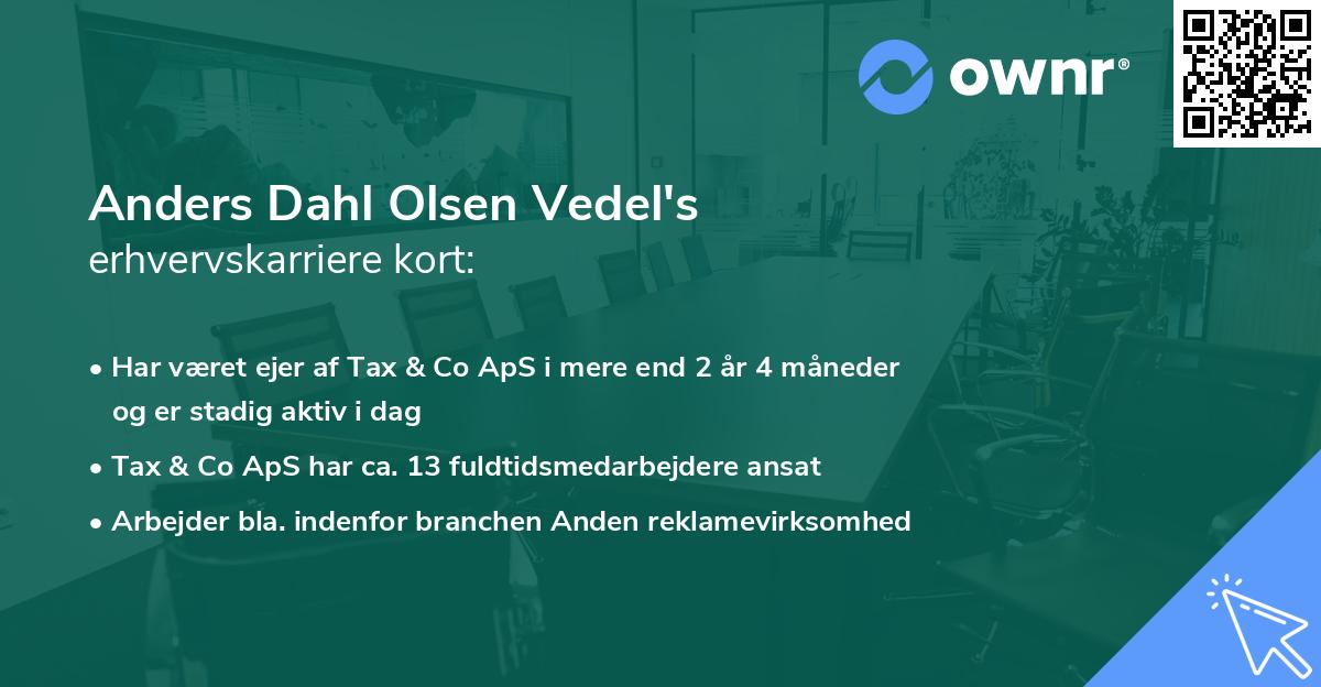 Anders Dahl Olsen Vedel's erhvervskarriere kort