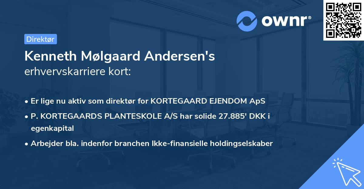 Kenneth Mølgaard Andersen's erhvervskarriere kort