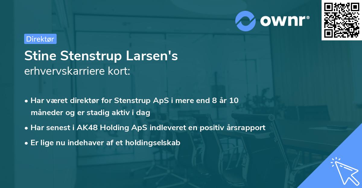 Stine Stenstrup Larsen's erhvervskarriere kort