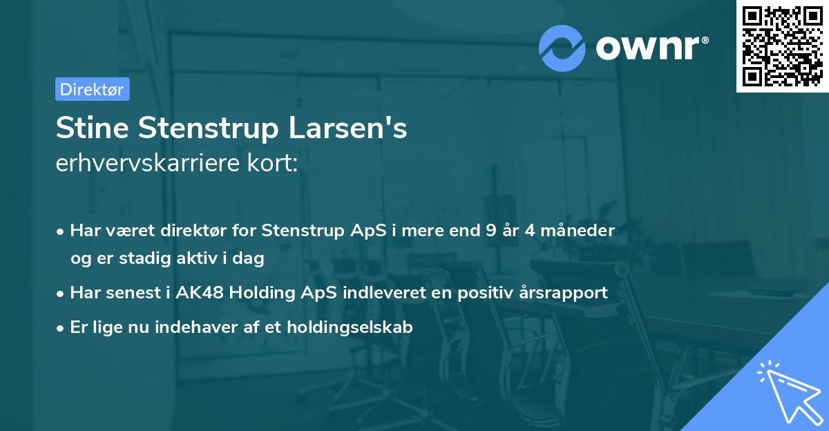 Stine Stenstrup Larsen's erhvervskarriere kort