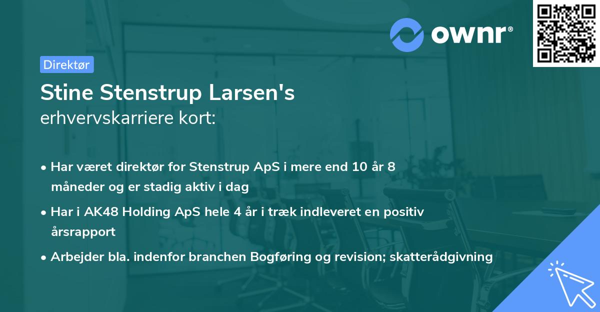 Stine Stenstrup Larsen's erhvervskarriere kort