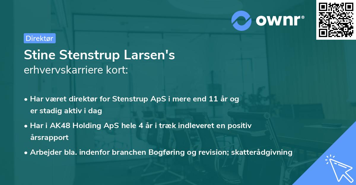 Stine Stenstrup Larsen's erhvervskarriere kort